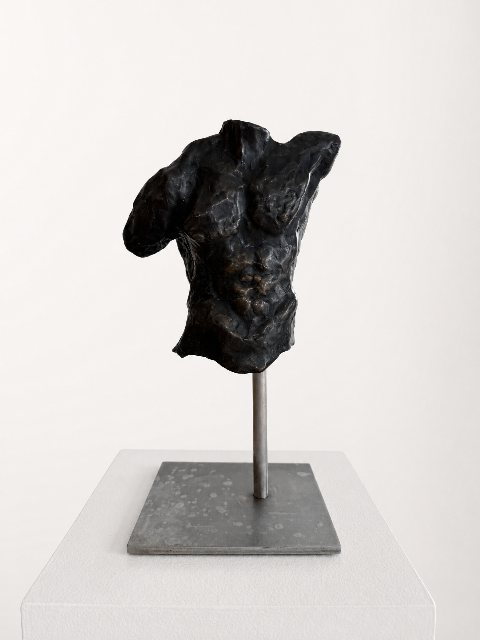 Adonis — Bronze Male Torso — Robert Edward Grant