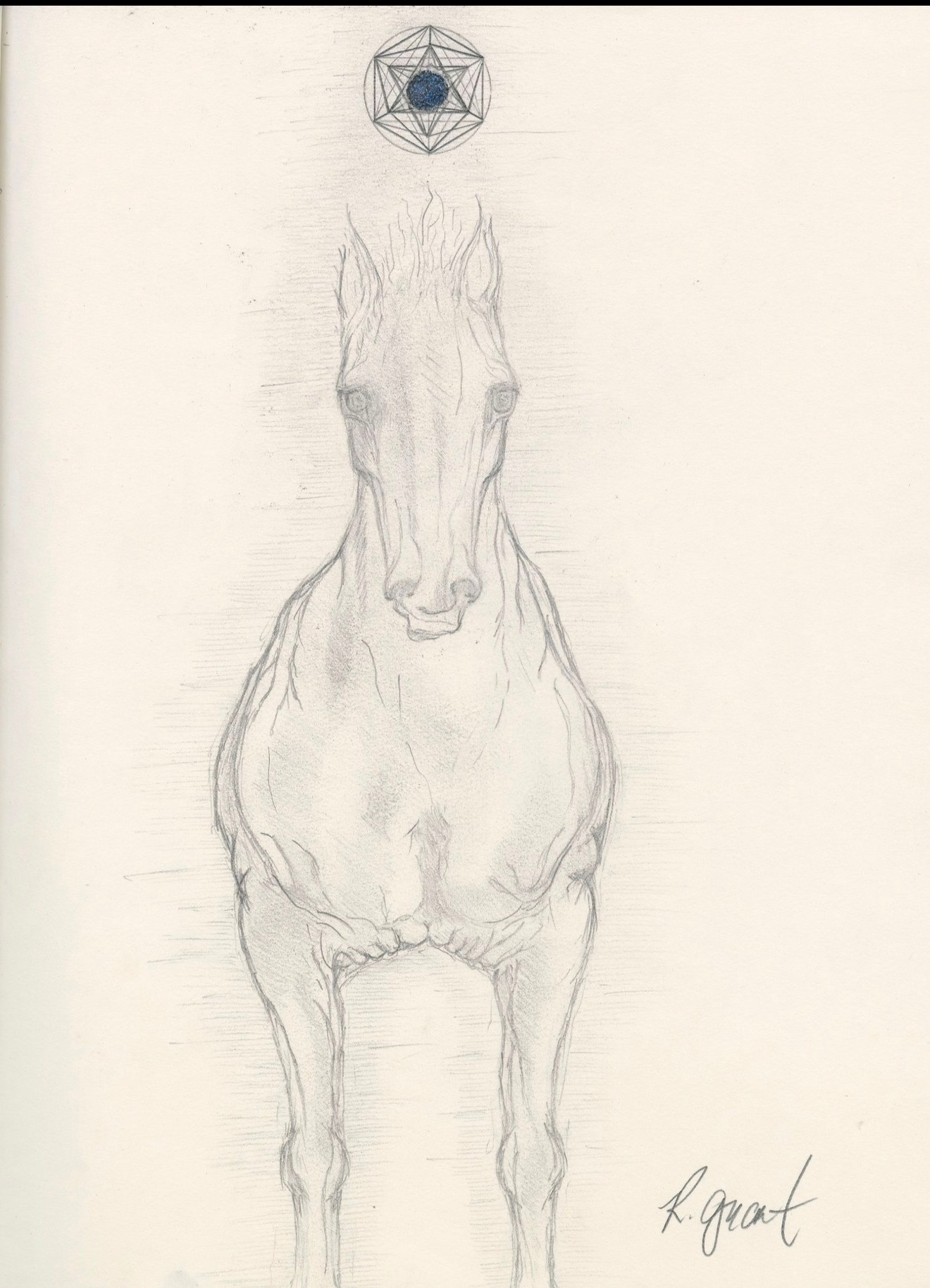 The Fire Horse of Aquarius — Robert Edward Grant