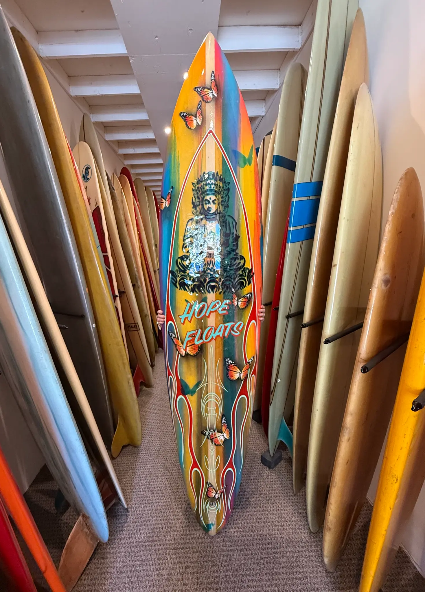 Longboard — Risk — The Sphere Gallery